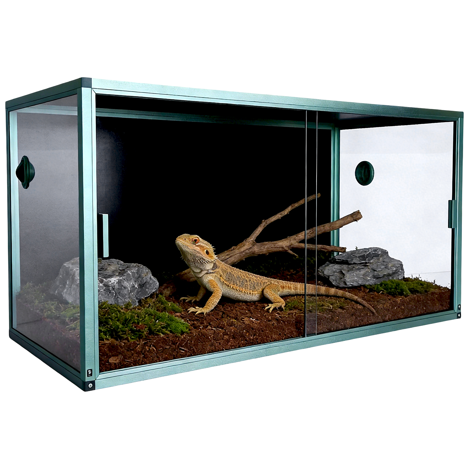 Screen Top Mesh - 120 Gallon Bearded Dragon Tank with