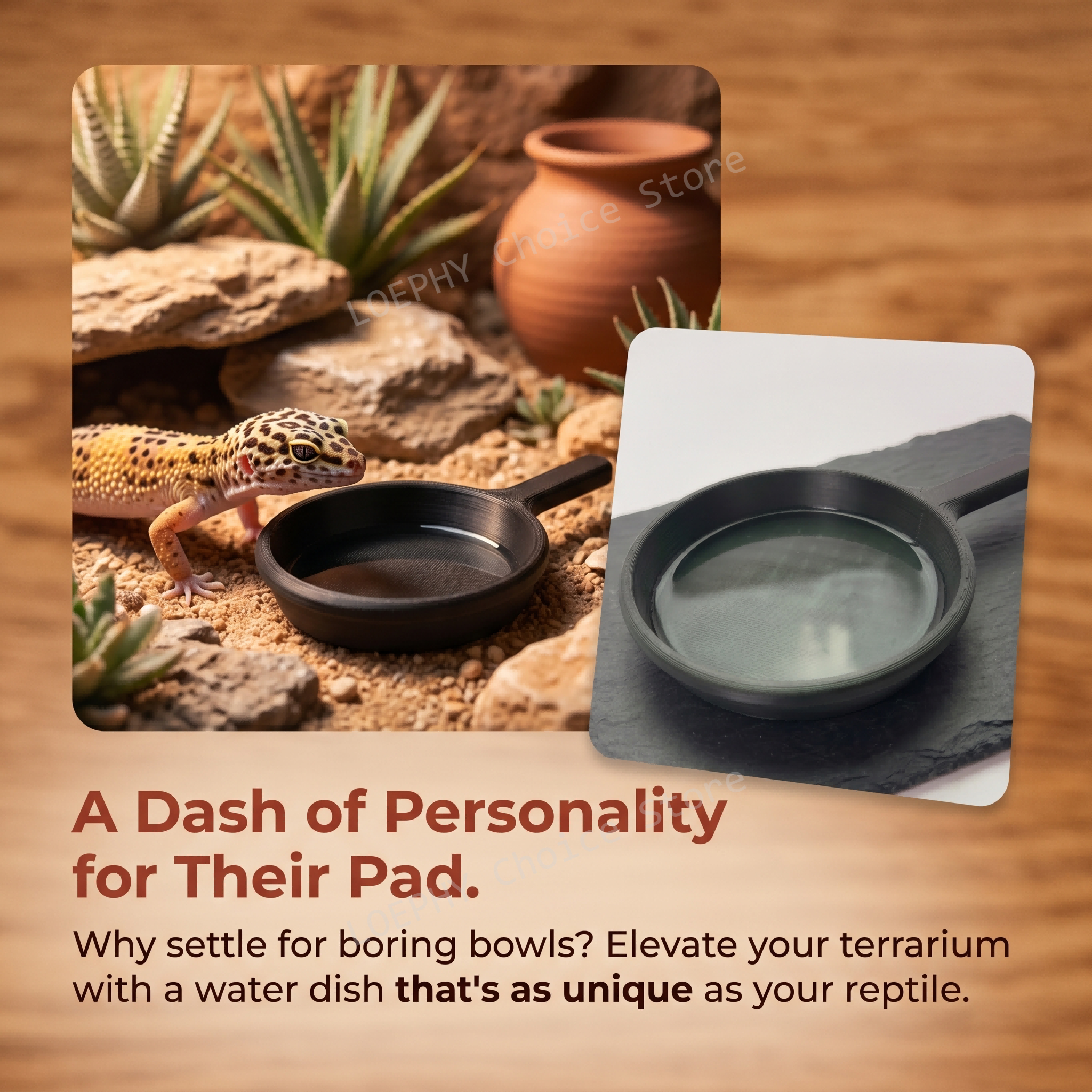 Funny Frying Pan Design Gecko  - Water Dish Reptile ulasan dan harga