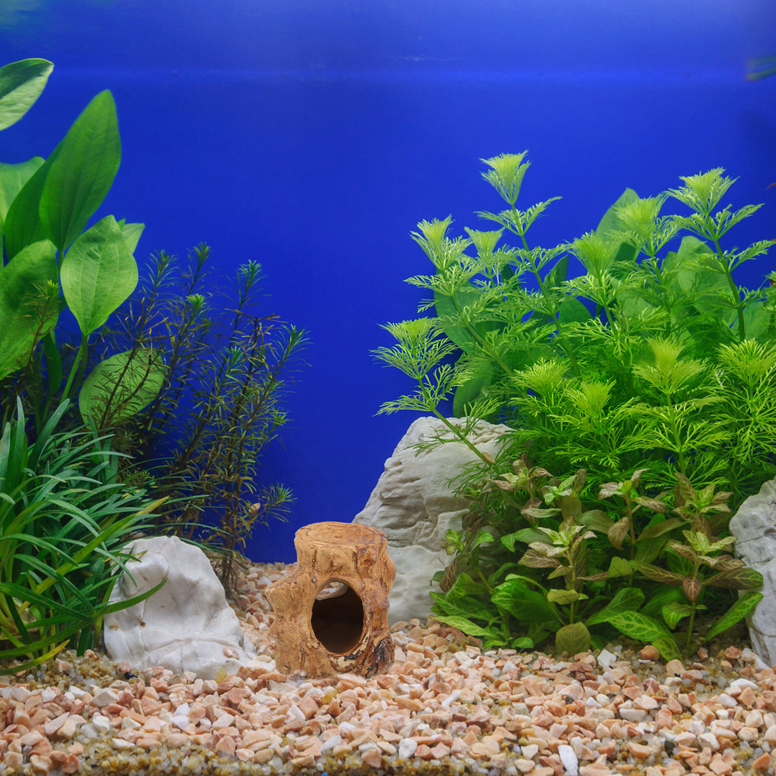 Aquarium Fish House Ceramic Ca - Hide Cave Ceramic ulasan dan harga