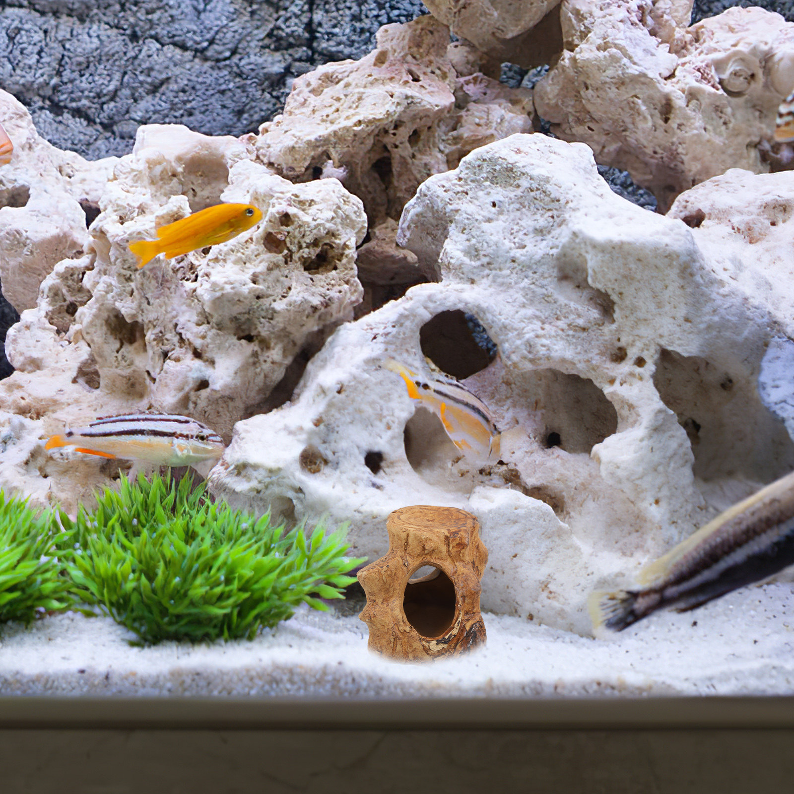 Aquarium Fish House Ceramic Ca - Hide Cave Ceramic ulasan dan harga
