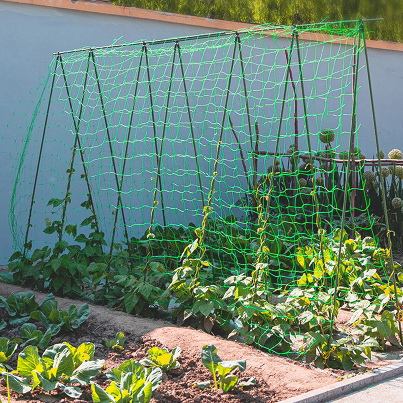 Garden Netting Plant Vine Grow - Vine Climbing Plastic ulasan dan harga