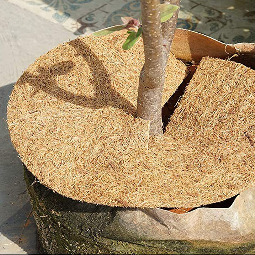 1 Roll Thick Coconut Fiber Lin - Substrate Coconut Fiber ulasan dan harga