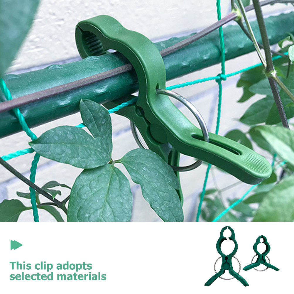 50Pcs Plant Support Clips Plas - Vine Climbing Plastic ulasan dan harga