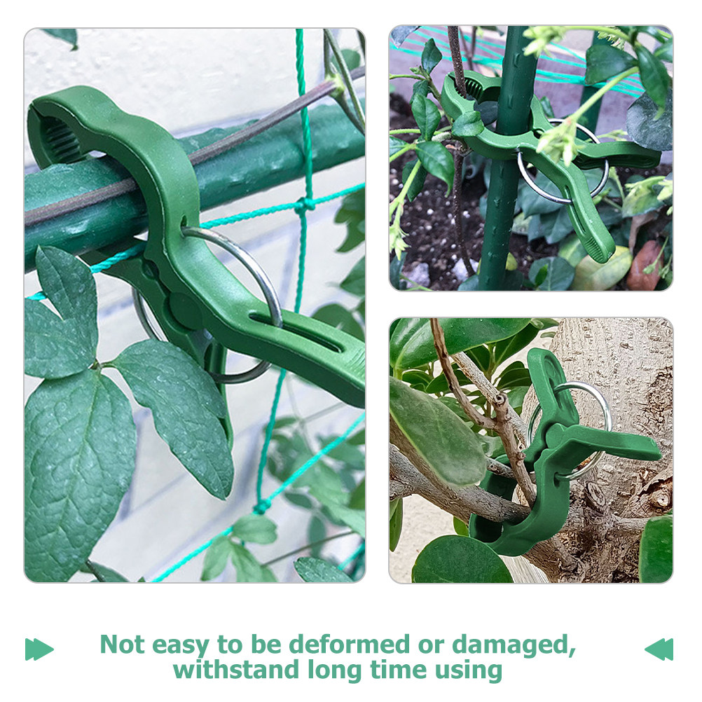 50Pcs Plant Support Clips Plas - Vine Climbing Plastic ulasan dan harga