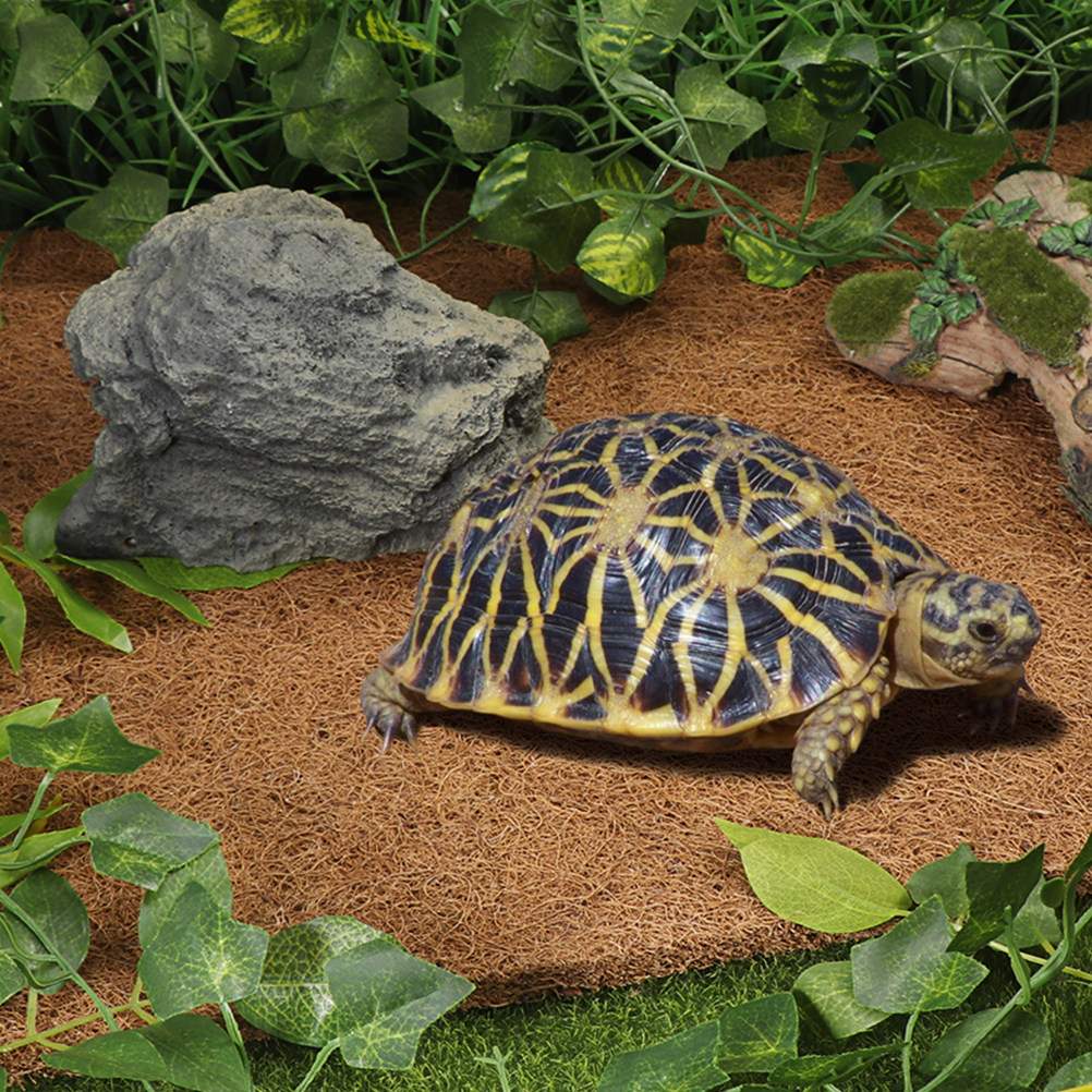 Terrarium Bedding for Reptiles - Substrate Coconut Fiber ulasan dan harga