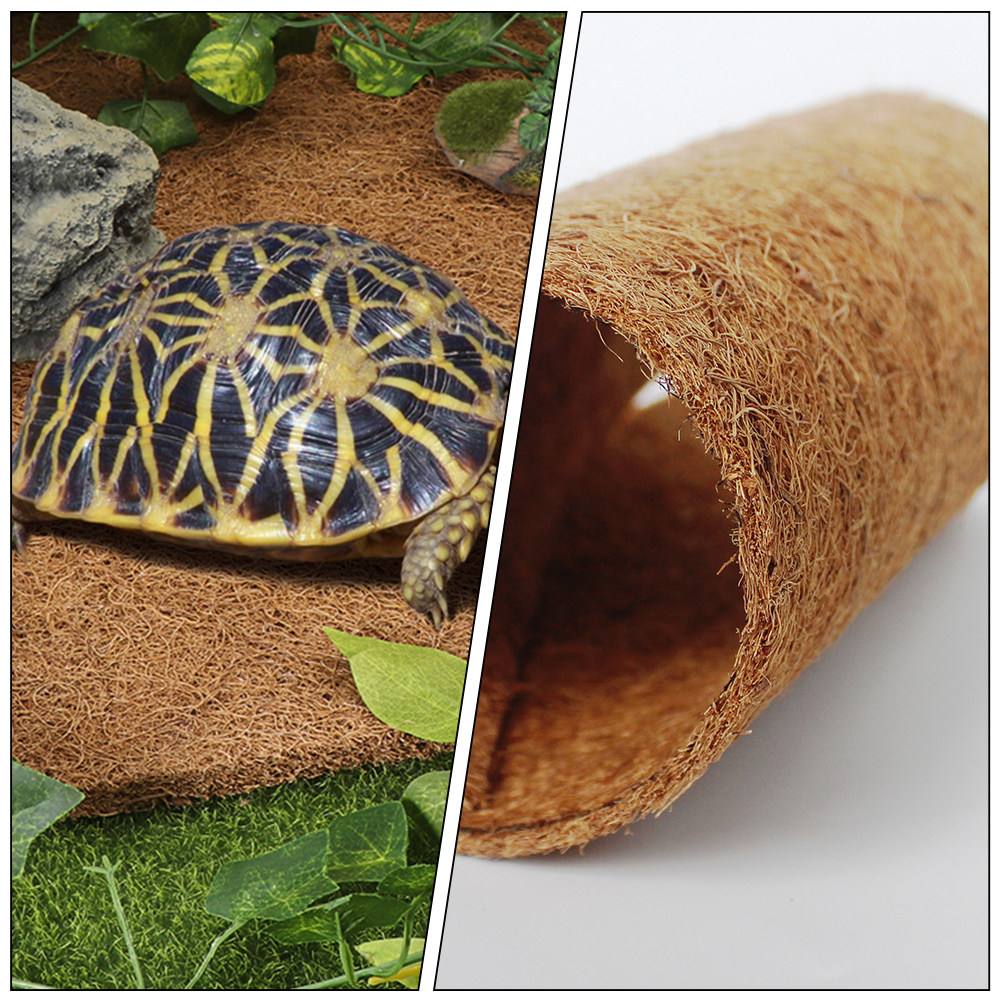 Terrarium Bedding for Reptiles - Substrate Coconut Fiber ulasan dan harga