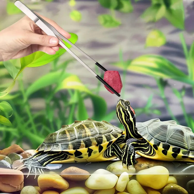 2Pcs Stainless Steel Tweezers  - Water Dish Reptile ulasan dan harga