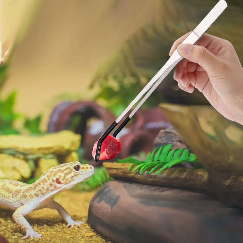 2Pcs Stainless Steel Tweezers  - Water Dish Reptile ulasan dan harga