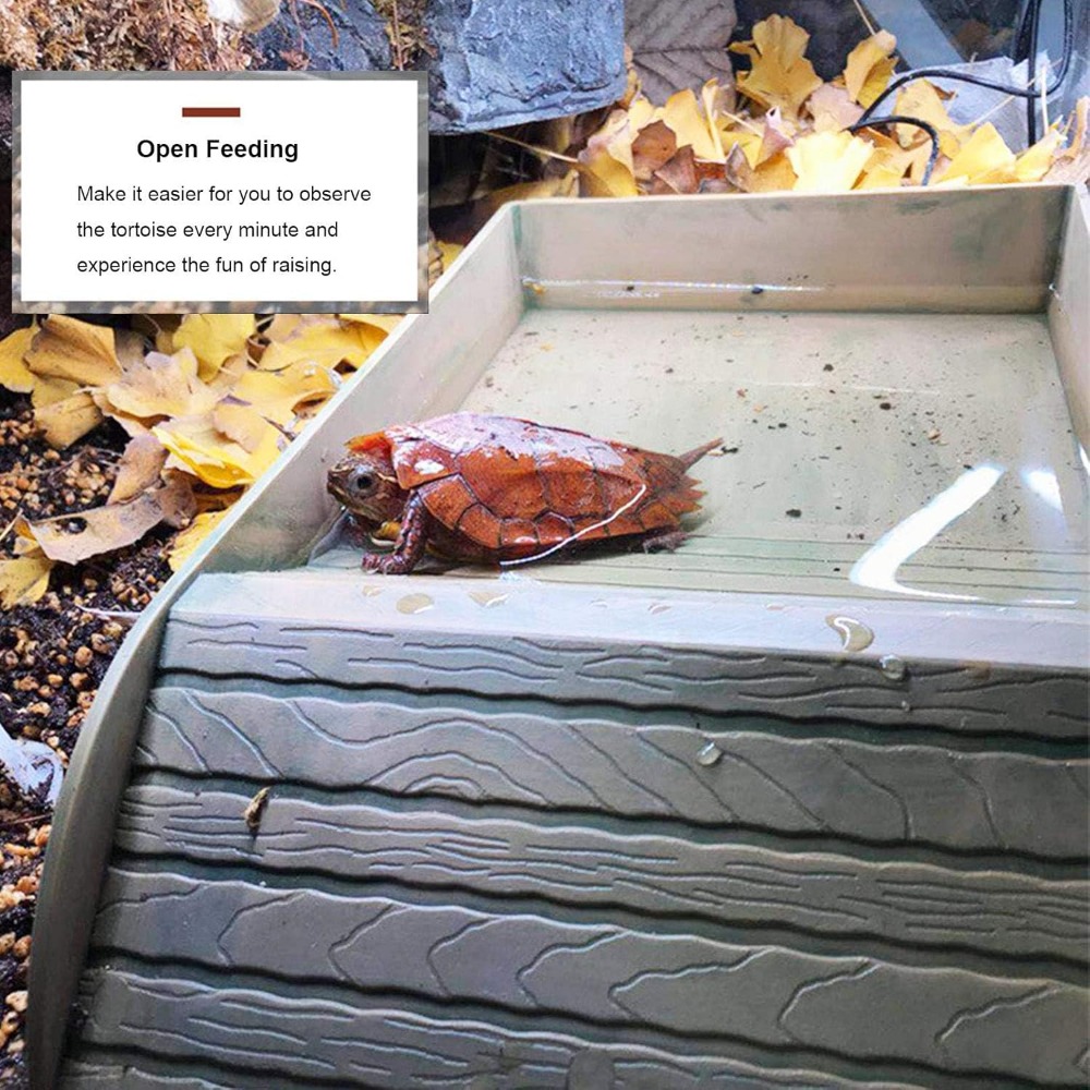 Turtle Bathing Pool Feeding Di - Water Dish Reptile ulasan dan harga