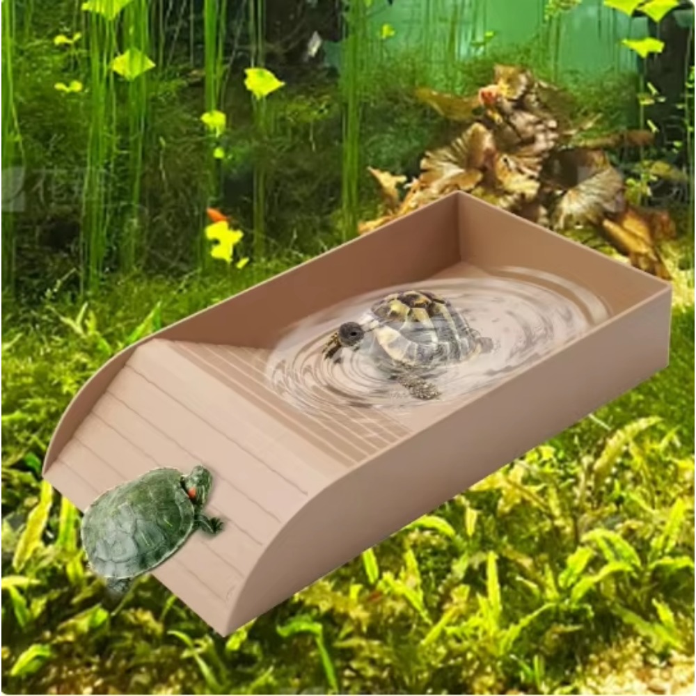 Turtle Bathing Pool Feeding Di - Water Dish Reptile ulasan dan harga