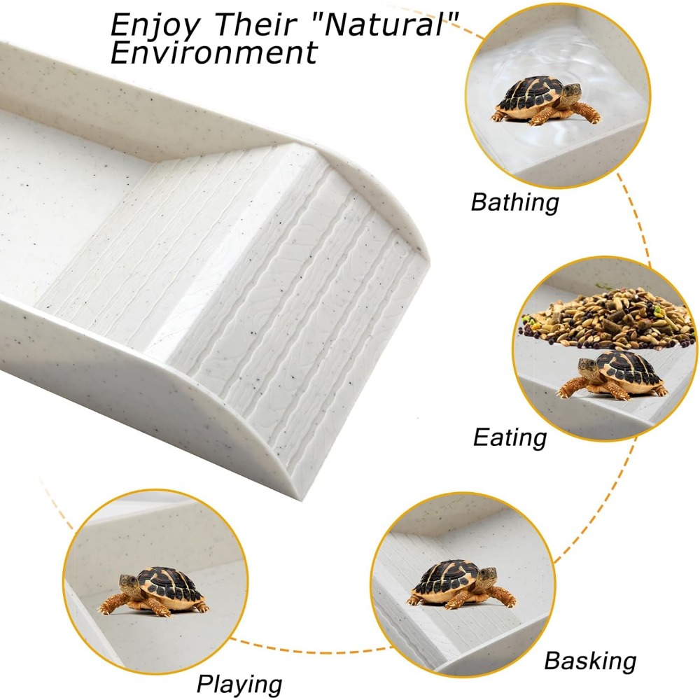 Turtle Bathing Pool Feeding Di - Water Dish Reptile ulasan dan harga