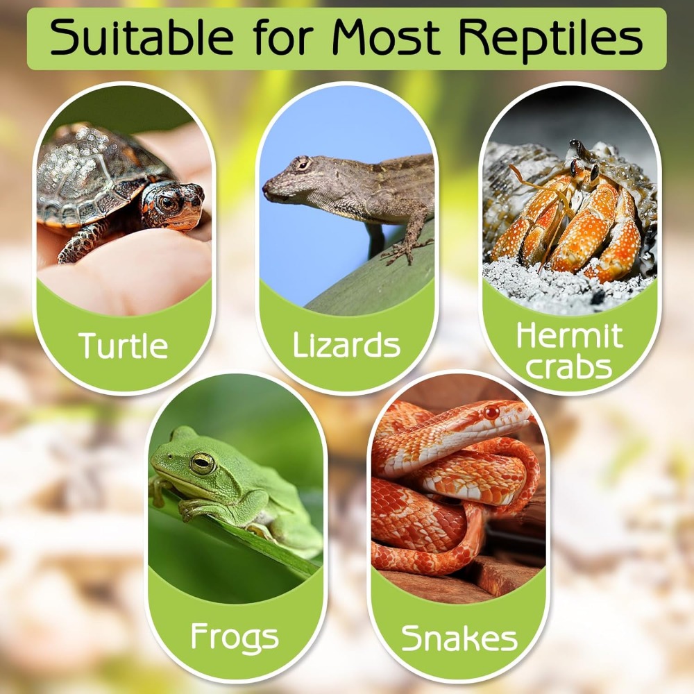 Turtle Bathing Pool Feeding Di - Water Dish Reptile ulasan dan harga