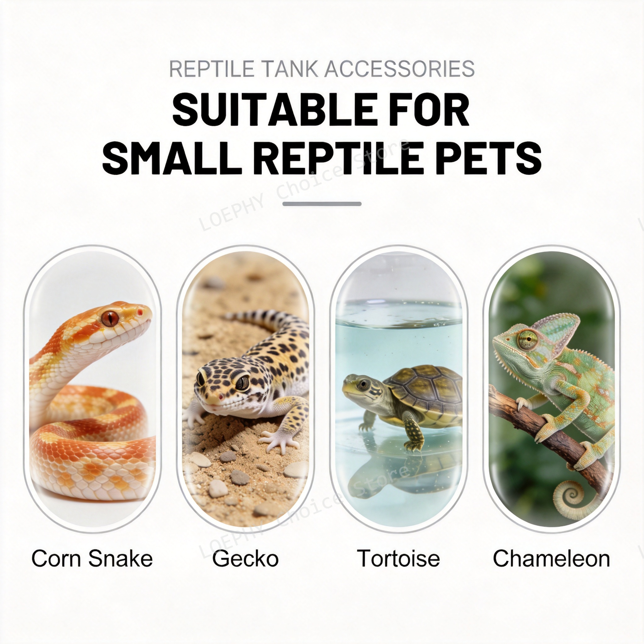 Castle Reptile Water Bowl Lion - Water Dish Reptile ulasan dan harga