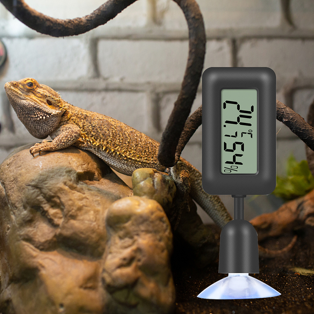 Reptile Thermometer Hygrometer - Digital Hygrometer Probe ulasan dan harga