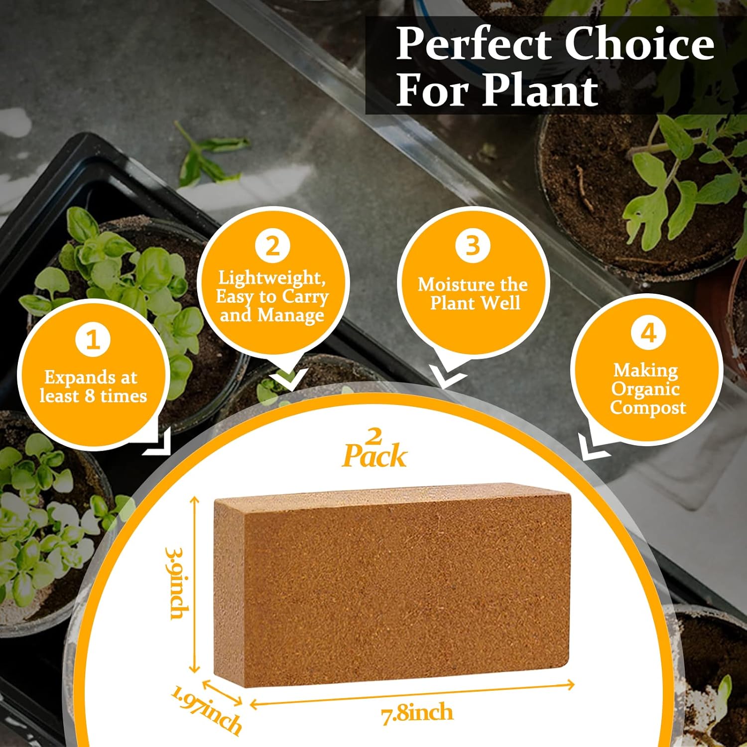 2pcs Organic Coco Coir Bricks  - Substrate Coconut Fiber ulasan dan harga