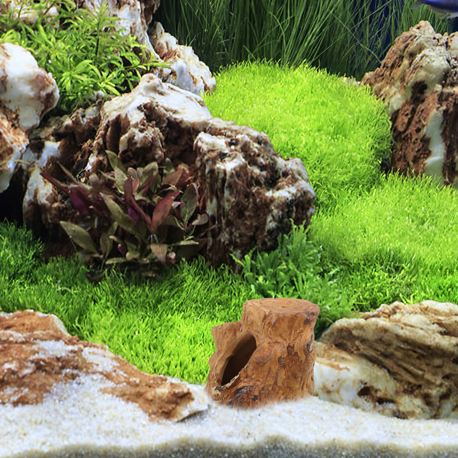 Natural-Looking Ceramic Fish T - Hide Cave Ceramic ulasan dan harga