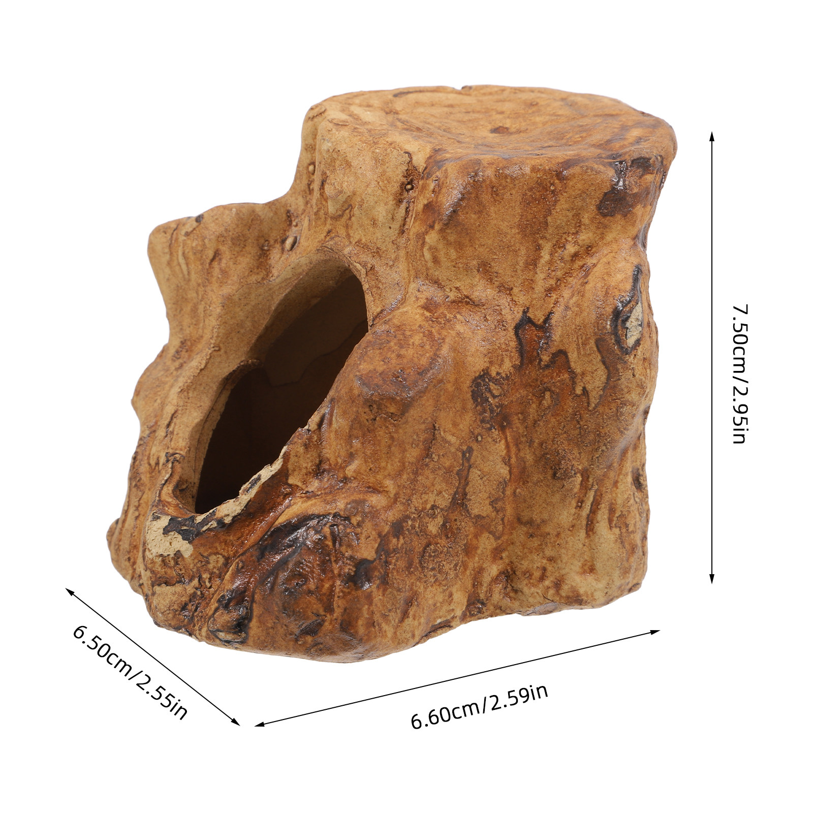 Natural-Looking Ceramic Fish T - Hide Cave Ceramic ulasan dan harga