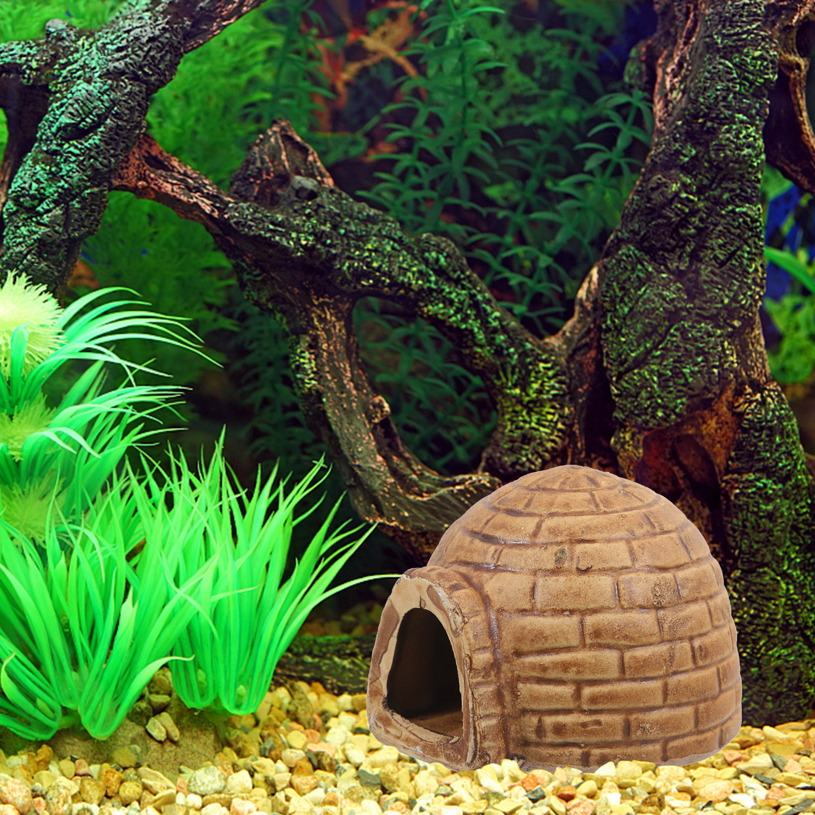 Ceramic Pleco Caves Aquarium F - Hide Cave Ceramic ulasan dan harga
